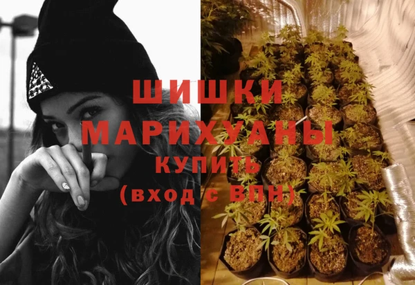 тгк Арсеньев