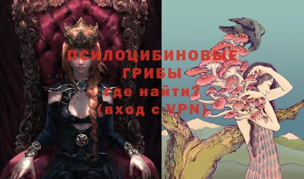 мет Аркадак