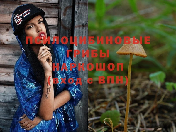 тгк Арсеньев